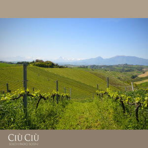 Azienda Vitivinicola Ciù Ciù