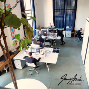 L'ufficio di Jonny Mole